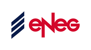 eNeG Vertrieb- und Service GmbH